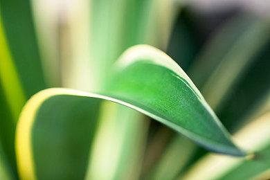 任天堂Switch版《超人怪兽农场》2022年发售